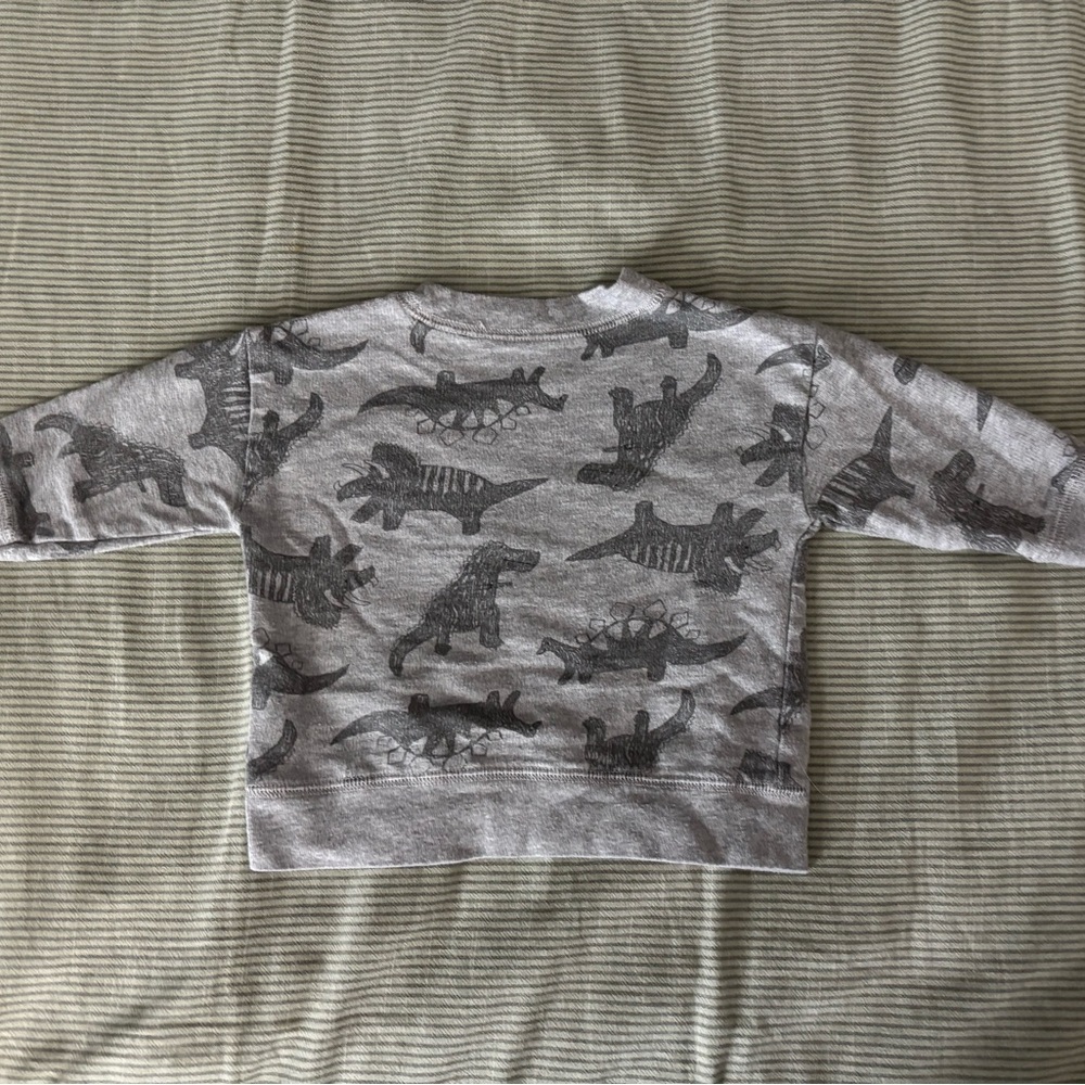 Gray and Green Dinosaur Baby Outfit Set - Picture 7 of 7